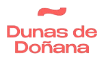 Dunas de Doñana