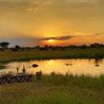 Impressionen Lukimbi Safari Lodge Impressionen Lukimbi Safari Lodge