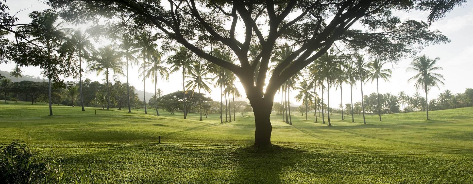 Golfreisen Sri Lanka