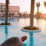 Impressionen Saadiyat Rotana Resort & Villas Impressionen Saadiyat Rotana Resort & Villas