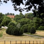 Impressionen The Grove Hotel Impressionen The Grove Hotel