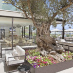 Impressionen Viva Golf Adults Only Impressionen Viva Golf Adults Only