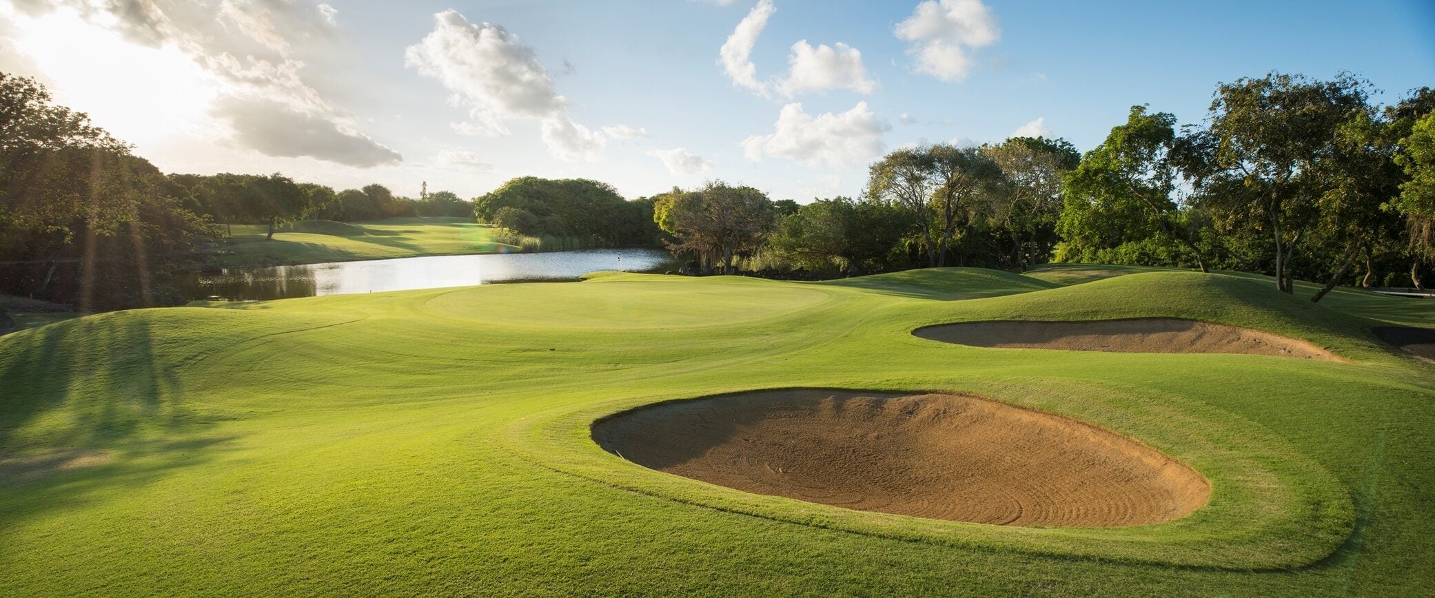 The Links