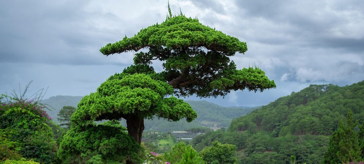 Dalat